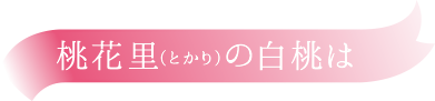 岡山の桃