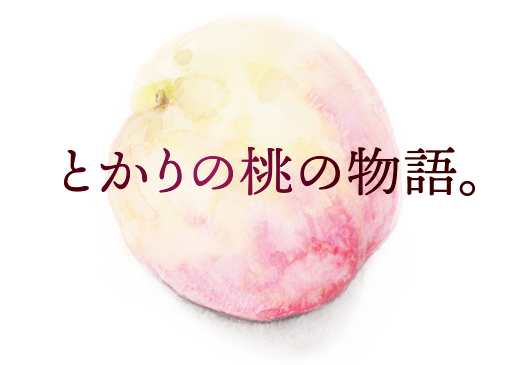 岡山の白桃お取り寄せ