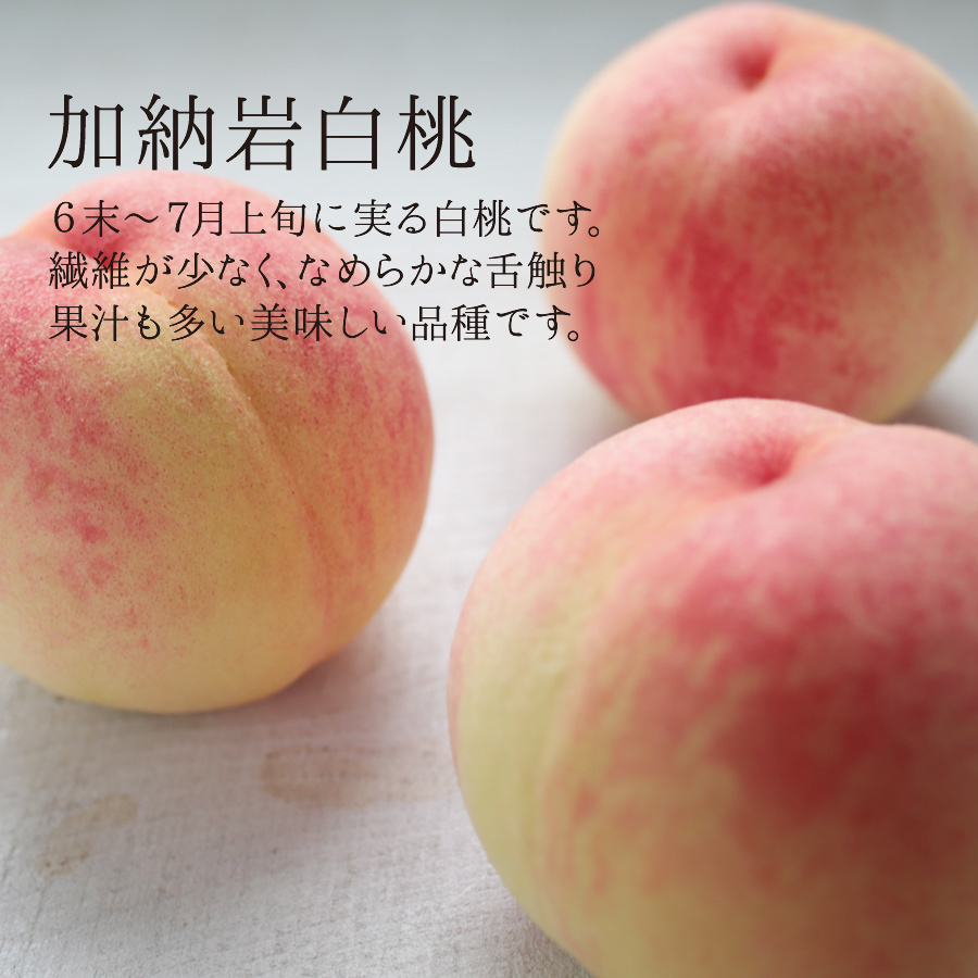 加納岩白桃の取り寄せ