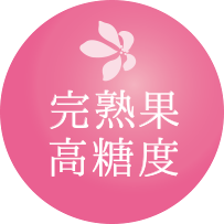 甘い桃のお取り寄せ