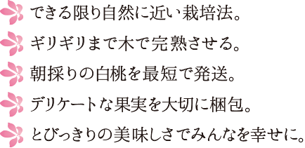 農家直売の桃